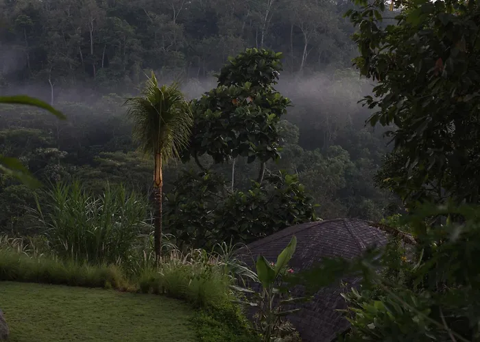 Belalu Bali Boutique & Experience ホテル ウブド