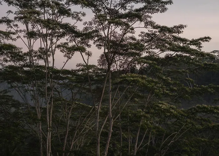 Belalu Bali Boutique & Experience
