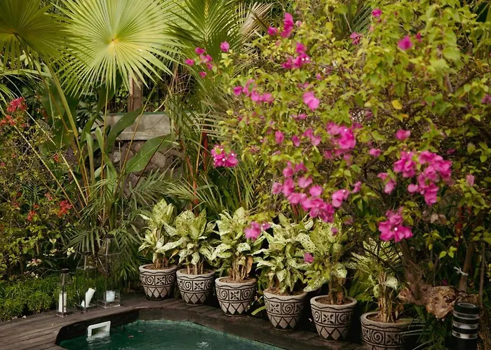Hotel Belalu Bali Boutique & Experience Ubud